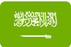  RBA - محاسبون قانونيون ومستشارون ماليون 